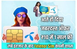 Sim 4G Telenor Book