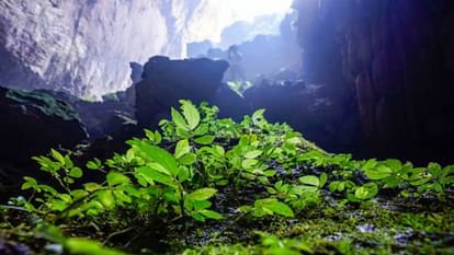 Hang Son Doong Cave