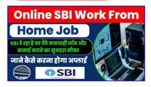 Online SBI Work From Home Job 2023 : 