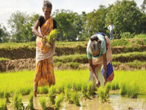 Farmer loan Agony waiver 2023