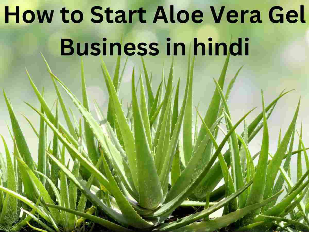 How to Start Aloe Vera Gel Business 2023