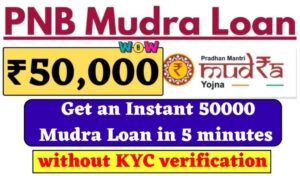 PNB E Mudra Loan Online Application